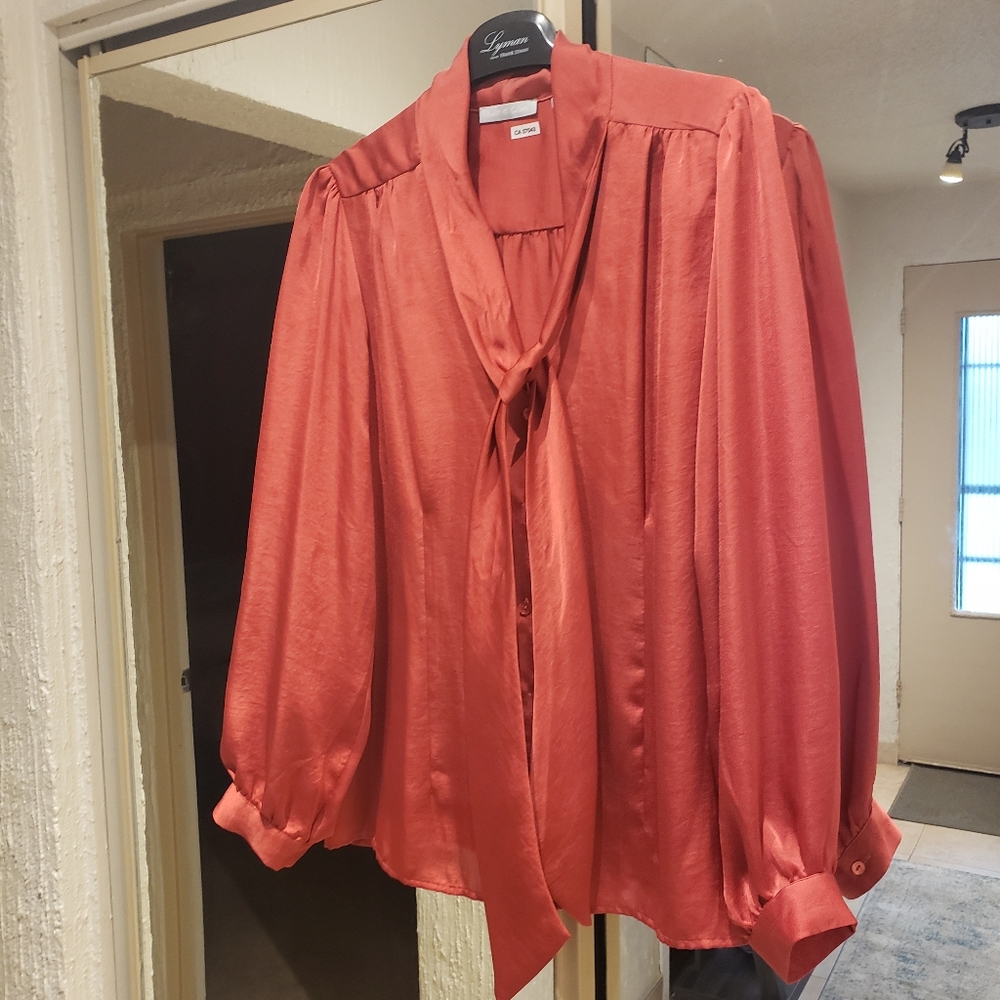 Rust colored blouse - Picture 2 of 4